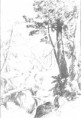 /album/el-paisaje-natural-/paisaje-natural7-jpg/
